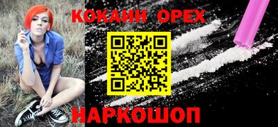 шишки Абакан
