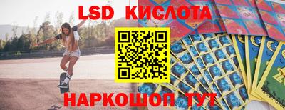 шишки Абакан