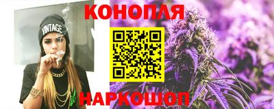 шишки Абакан