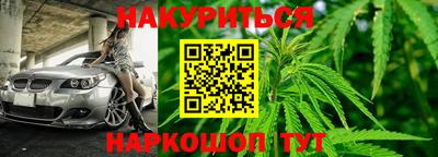 шишки Абакан
