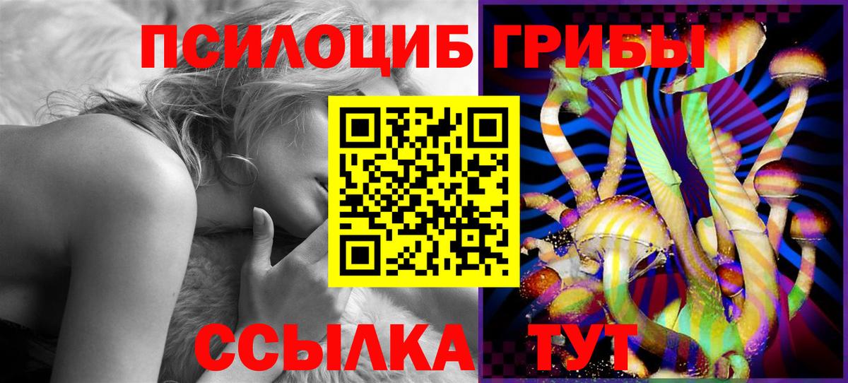 Псилоцибиновые грибы прущие грибы Апатиты